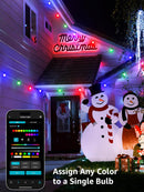 Lepro ZB1 AI Smart Outdoor String Lights APP Control